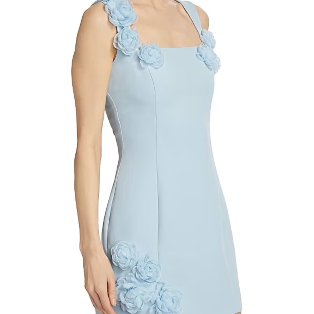 Elliatt Light Blue Floral Appliqué Mini Dress